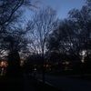 mrparks0822